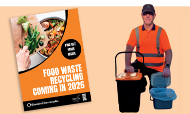Food waste caddy